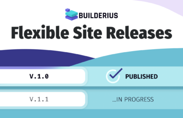 Versioning of Releases in Builderius