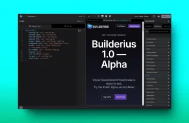 Builderius Balances Simplicity and Professionalism