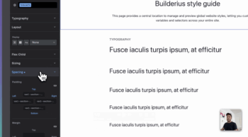Builderius interface showing local styling options