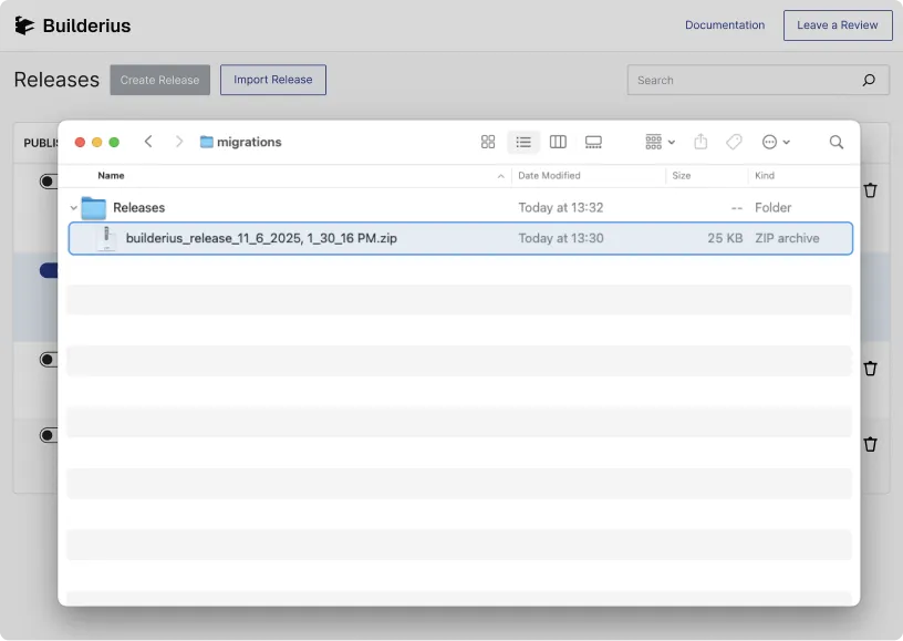 Move Your Builderius Work Between Sites