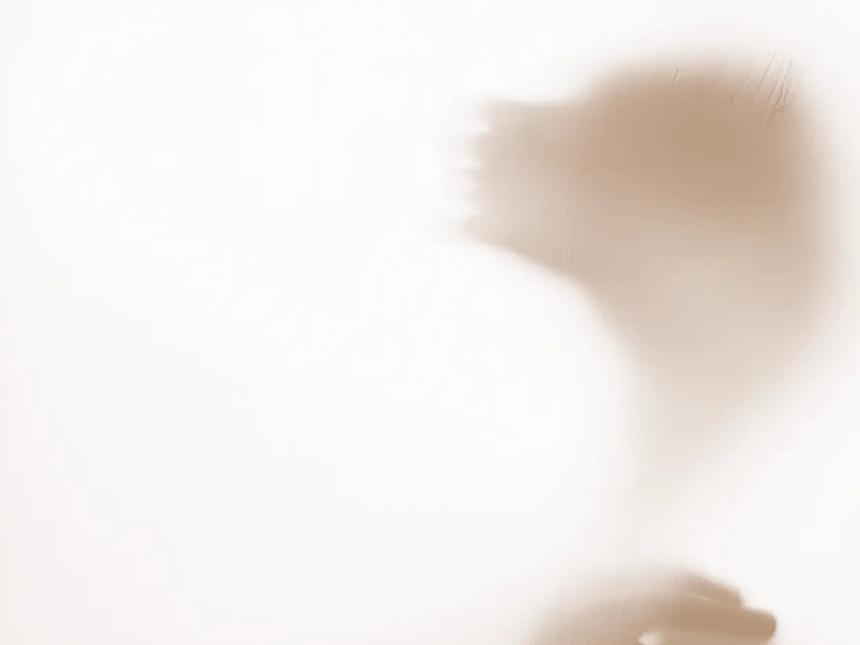 Abstract blurred image evoking human figure.